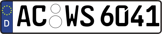 AC-WS6041