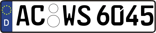 AC-WS6045