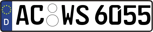 AC-WS6055
