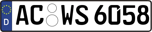 AC-WS6058