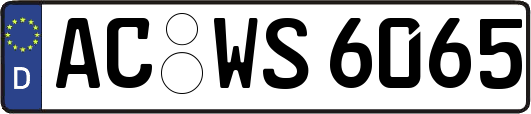 AC-WS6065