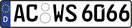 AC-WS6066