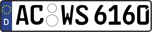 AC-WS6160