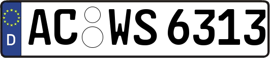 AC-WS6313