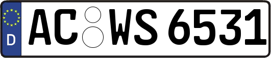 AC-WS6531
