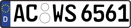 AC-WS6561