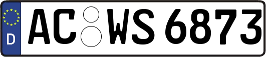 AC-WS6873
