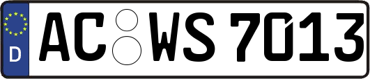 AC-WS7013