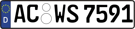AC-WS7591