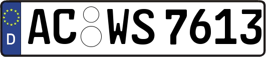 AC-WS7613