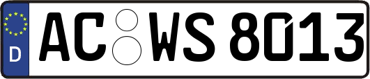 AC-WS8013