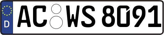 AC-WS8091