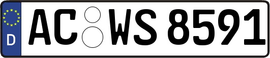 AC-WS8591