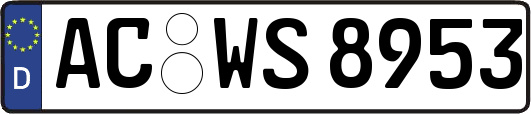 AC-WS8953