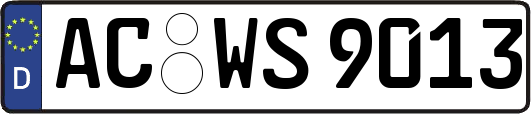 AC-WS9013