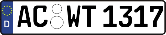 AC-WT1317