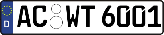 AC-WT6001