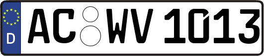 AC-WV1013