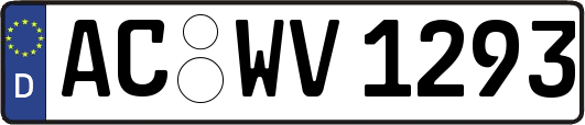 AC-WV1293