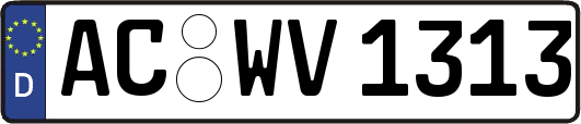 AC-WV1313