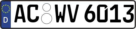 AC-WV6013