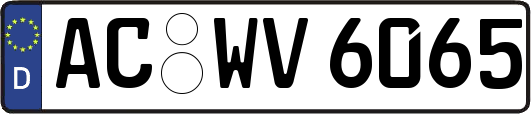 AC-WV6065