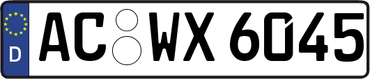 AC-WX6045