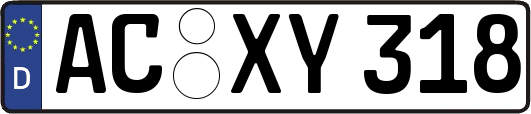AC-XY318