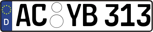 AC-YB313
