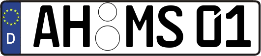 AH-MS01