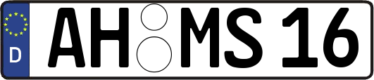 AH-MS16