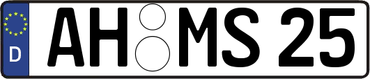 AH-MS25