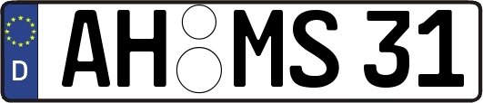AH-MS31