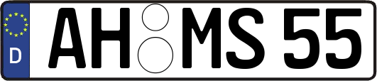 AH-MS55