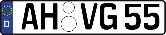 AH-VG55