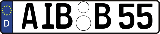 AIB-B55