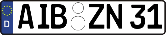 AIB-ZN31