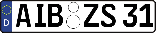 AIB-ZS31