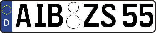 AIB-ZS55