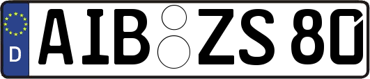 AIB-ZS80