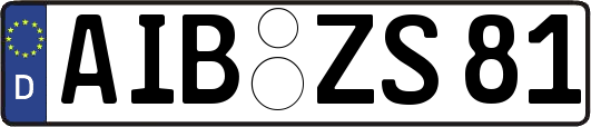 AIB-ZS81