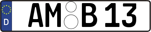 AM-B13