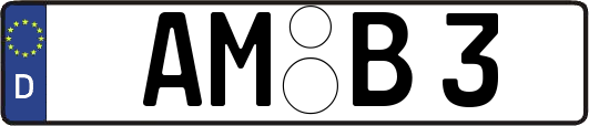 AM-B3