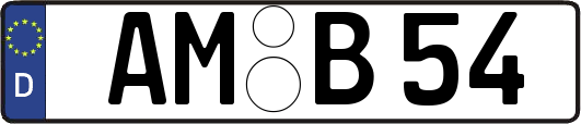 AM-B54
