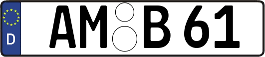 AM-B61