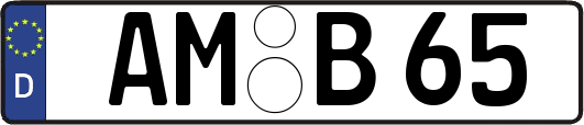 AM-B65