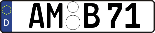 AM-B71