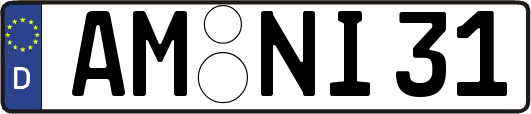 AM-NI31