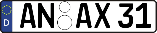 AN-AX31