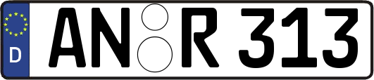 AN-R313